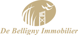 DE BELLIGNY IMMOBILIER